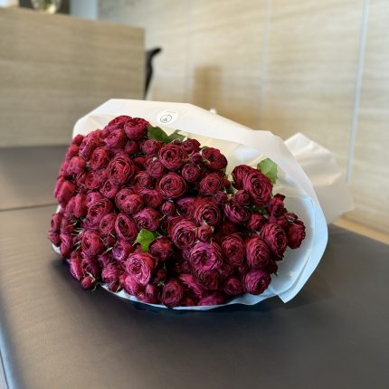 Червона піоновидна кущова троянда